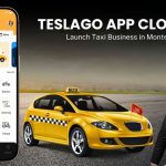 TeslaGo-App